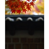 dailyPhoto24